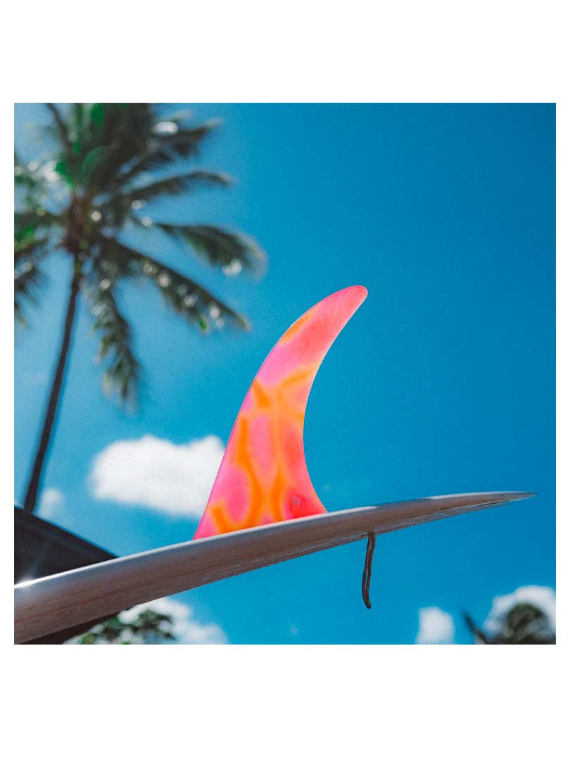 Kelia Moniz PG Single Fin